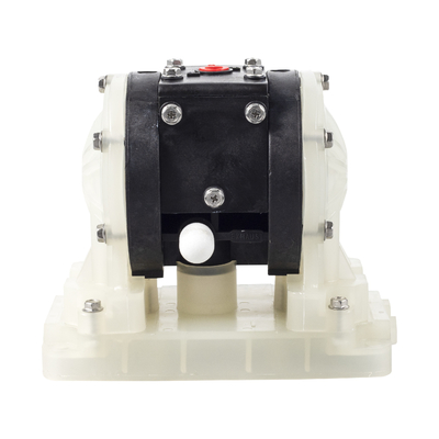 RD06 Polypropylene Diaphragm Pump Spring Style Non Return Valve